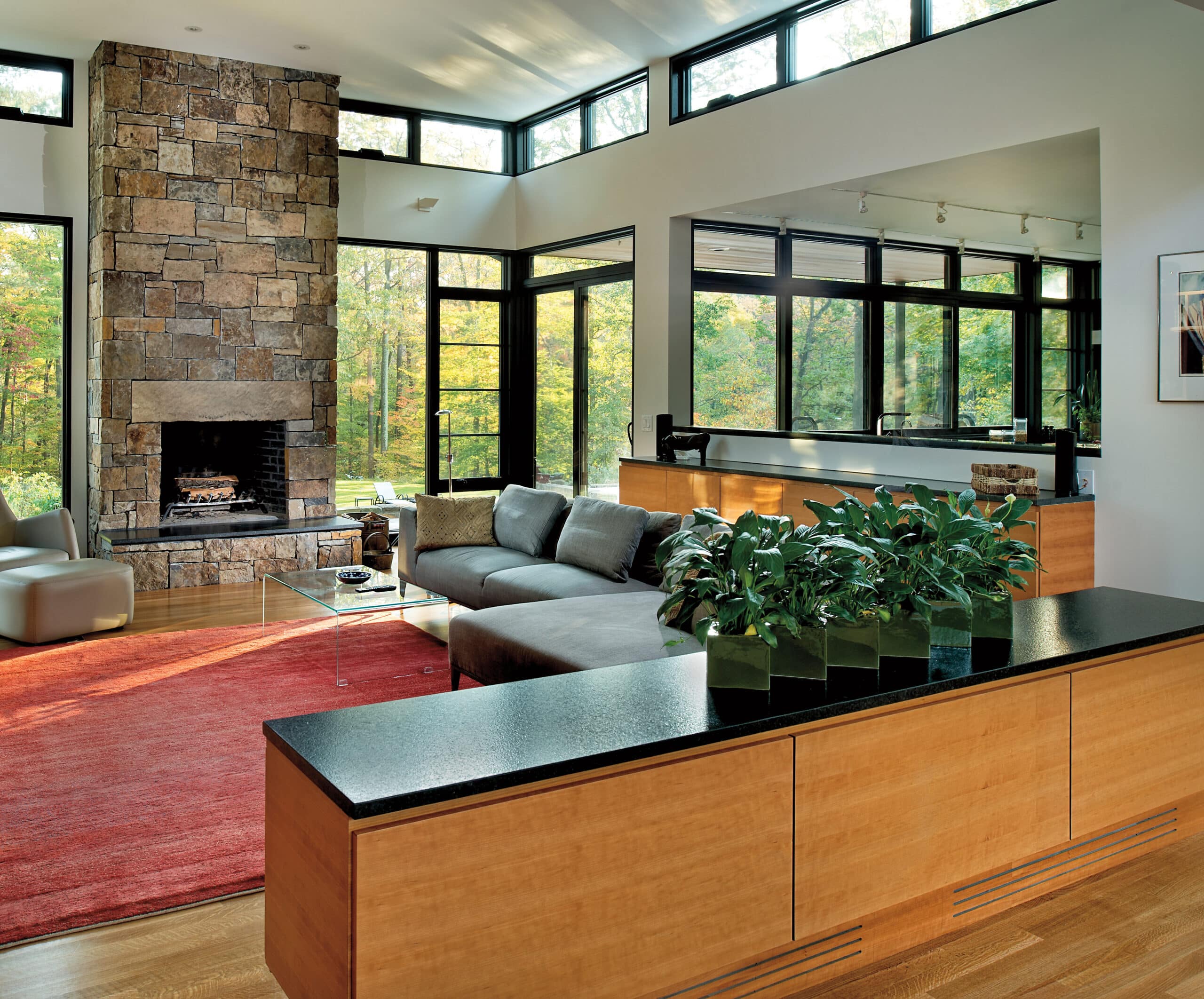 427676_Pinnacle_BlackClad_DS-C-A-NarrowSlidingPD_GreiciusResidence_Payne-Payne_ClevelandOH_2015_1_EDIT_CC