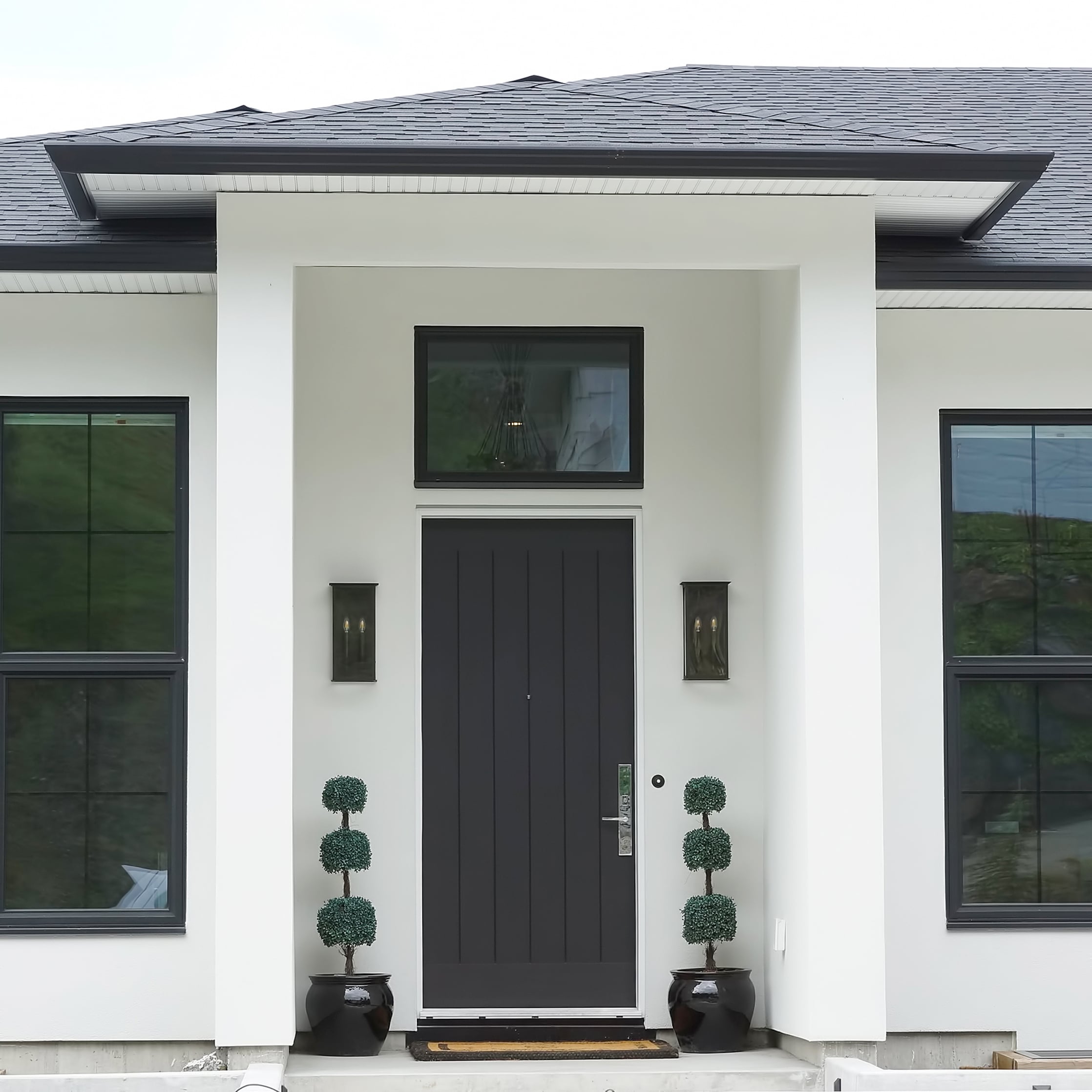 Modern Front Doors