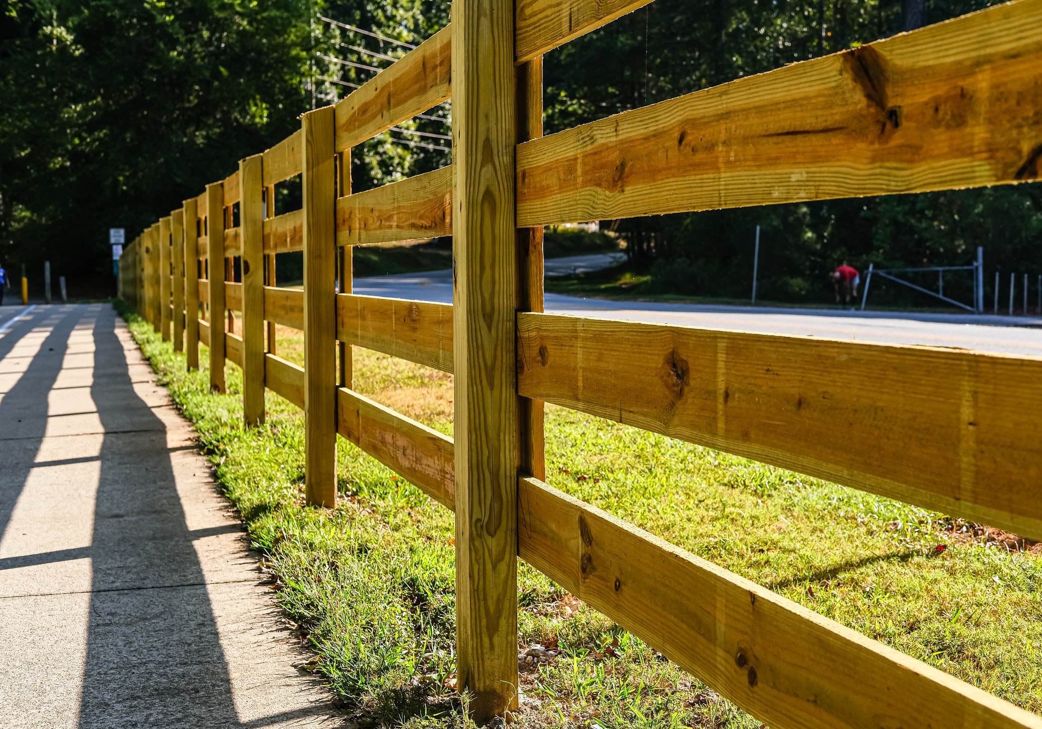 Treated Yellow Pine Fencing